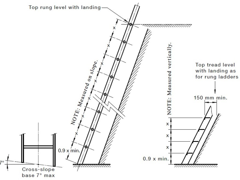 cat ladder australia